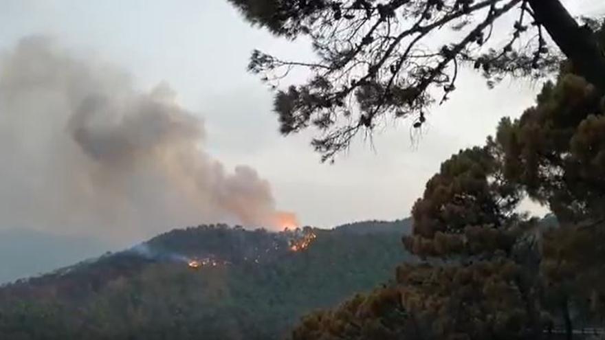 Imagen del incendio que continúa activo en el municipio malagueño de Jubrique