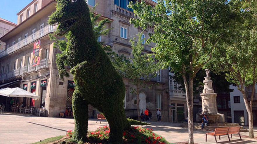 Dinoseto, el arbusto gigante de Vigo // J. Álvarez