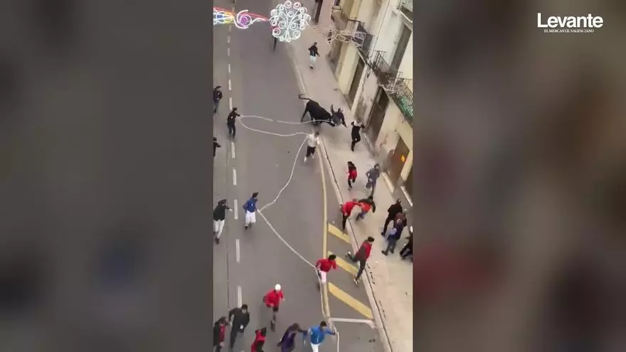 El bou de la Puríssima de Ontinyent deja varias atenciones por golpes