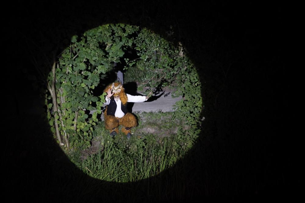 Noches mágicas en el Botánico de Gijón