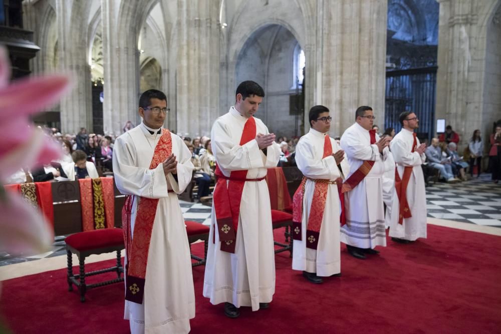 Ordenación de nuevos sacerdotes en la Catedral