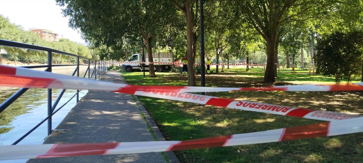 Zona precintada en La Isla de Plasencia, tras la caída de ramas el fin de semana.