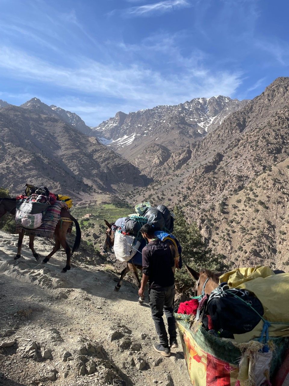 Las mulas ayudaron a transportar los petates de los montañeros.