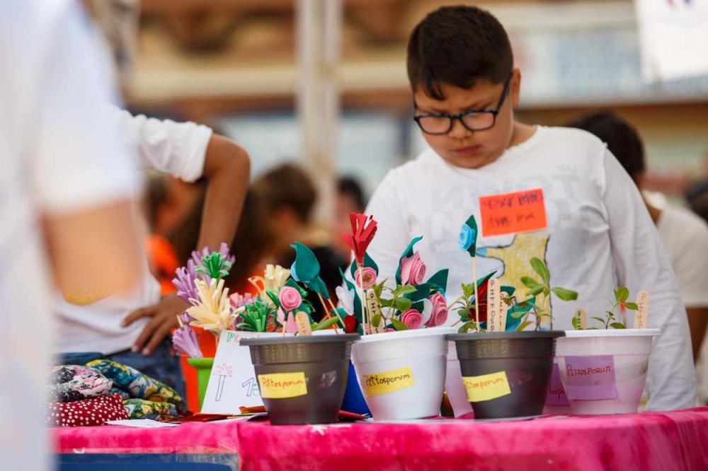 Más de 400 alumnos de las Pitiusas participan en el evento en Vara de Rey