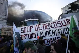 Los agricultores llevan a Bruselas su protesta contra Mercosur y la política verde de la UE