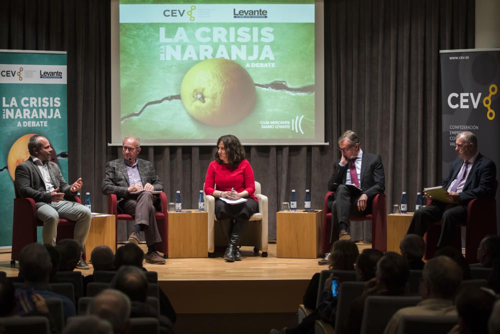 Debate: La crisis de la naranja