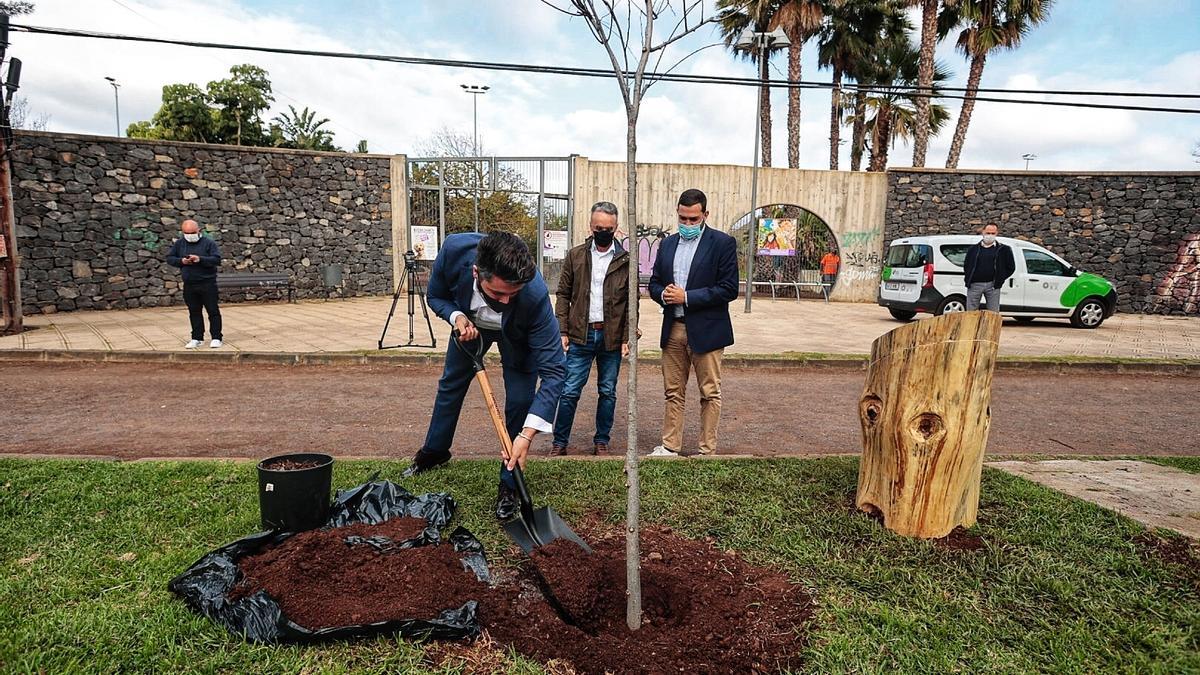Plantación de un olmo en el Camino de Las Peras