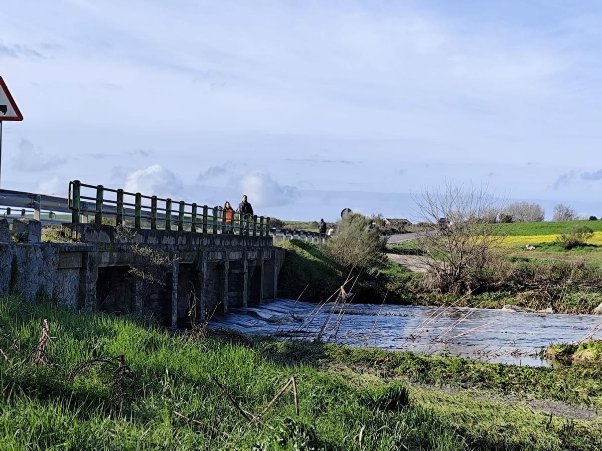 Voluntarios observan el río Guadarramilla desde uno de los puentes que lo cruzan.
