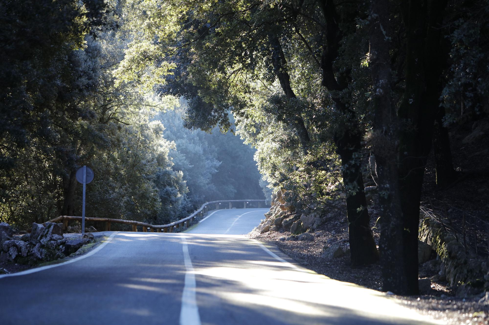 Die sonnige Tramuntana macht Lust auf Mallorca-Urlaub im Winter