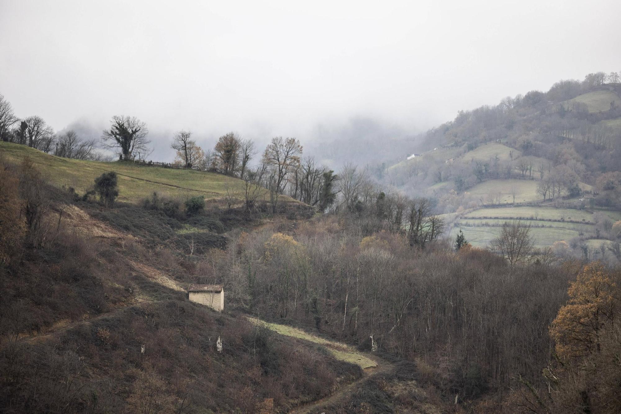 Asturianos en Riosa: Un recorrido por el municipio