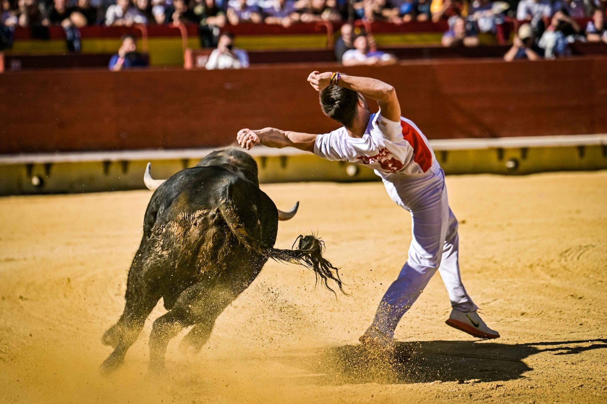 Final del campeonato de España de recortadores en Castelló