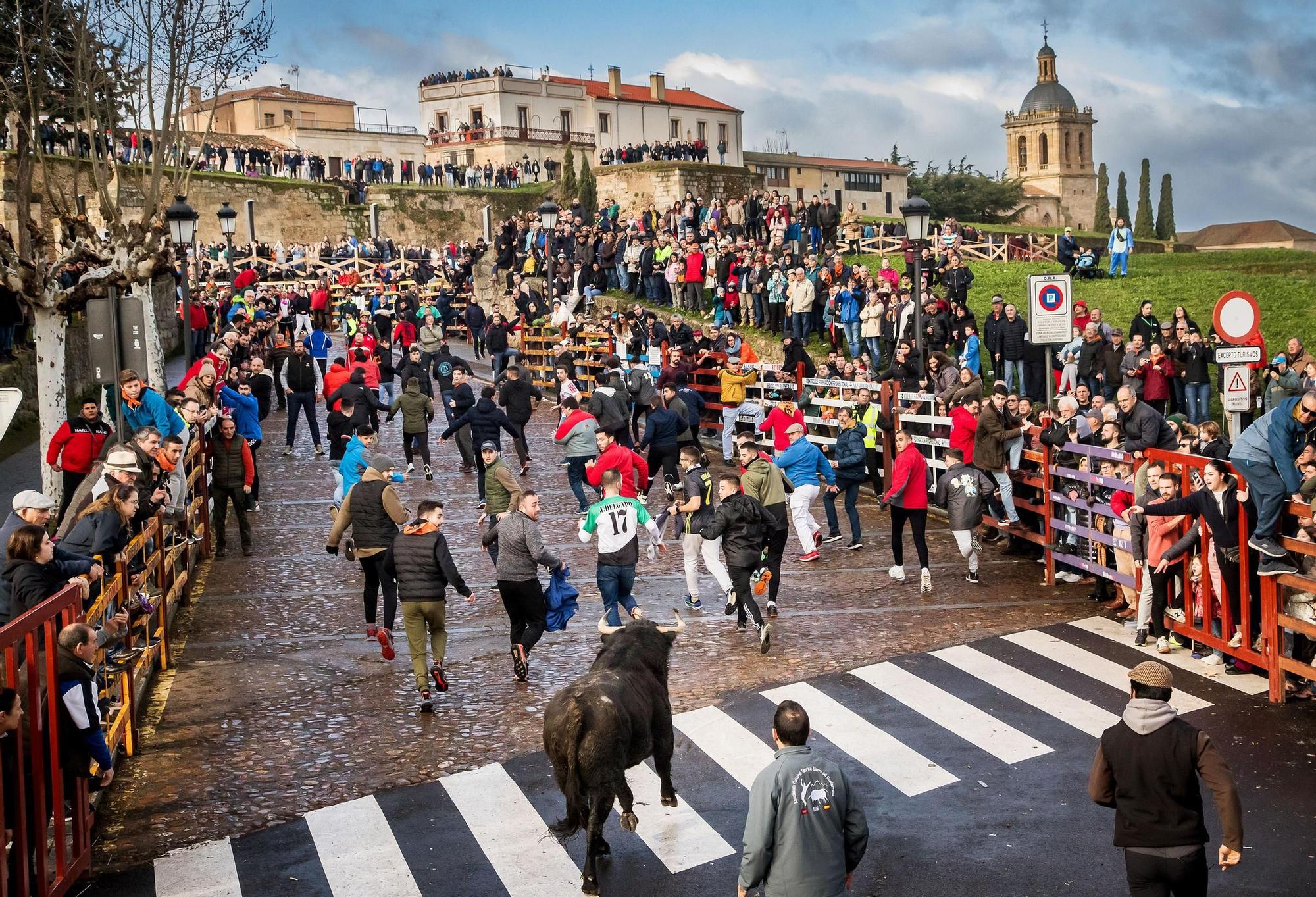 GALERÍA: Cinco heridos durante el encierro de Orive en el Carnaval del Toro de Ciudad Rodrigo