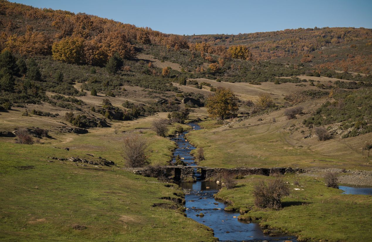 Una ruta de senderismo escondida en el Parque Natural de la Sierra Norte de Guadalajara.
