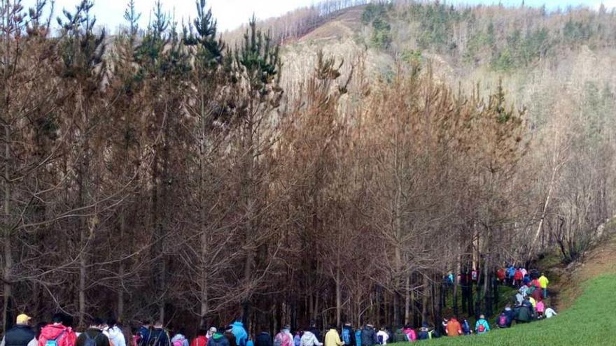 La Braña recauda más de 2.600 euros para los afectados por el incendio de El Franco