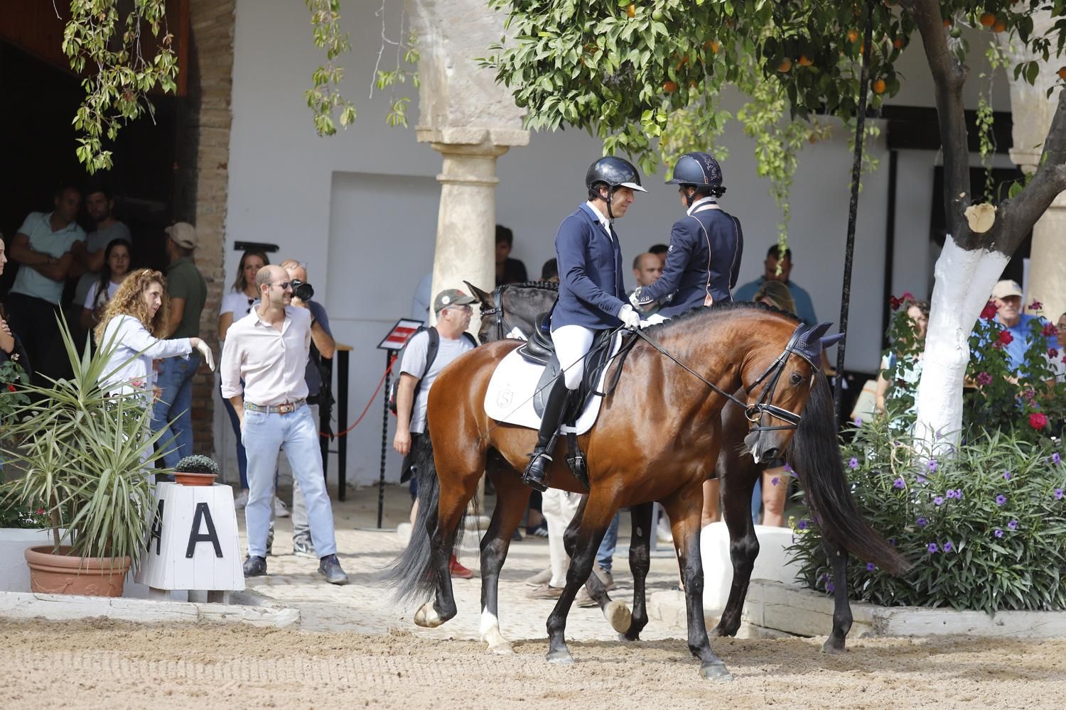 Campeonato de Europa del Caballo Lusitano