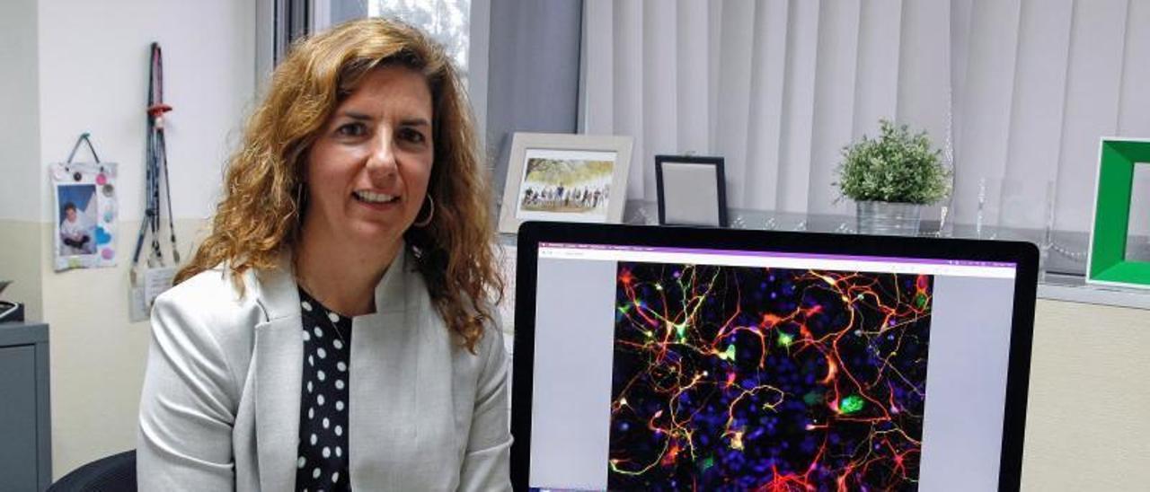 La investigadora del Instituto de Neurociencias Guillermina López-Bendito.