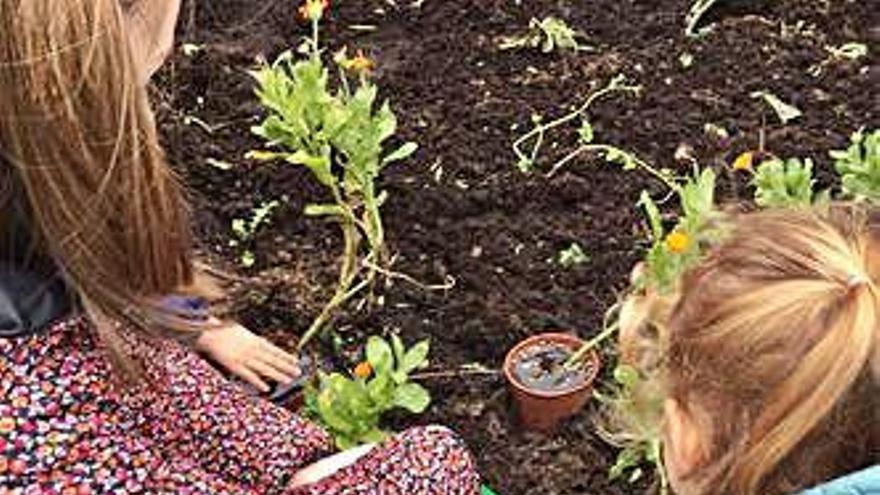 Unas niñas riegan plantas en una jardinera del patio del colegio.