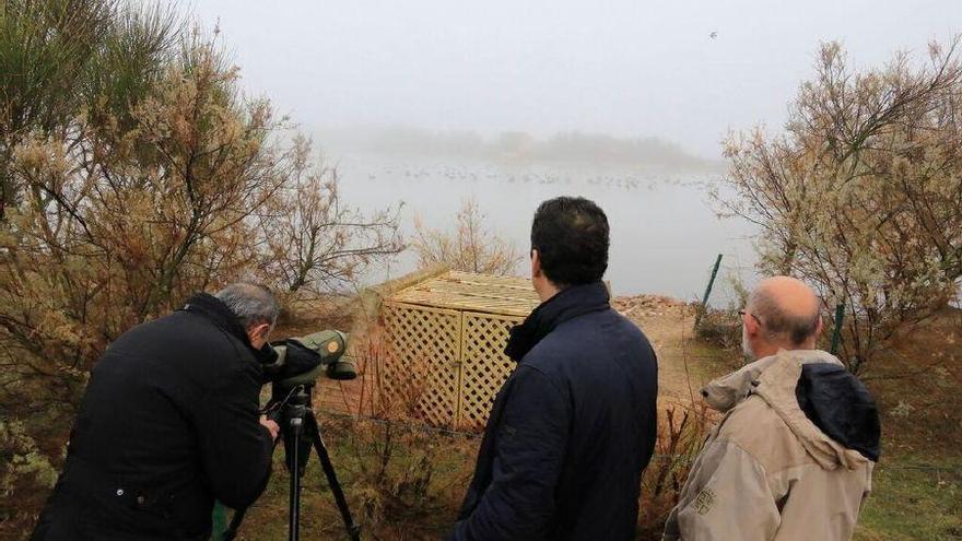 Observación de aves ayer en las Lagunas de Villafáfila