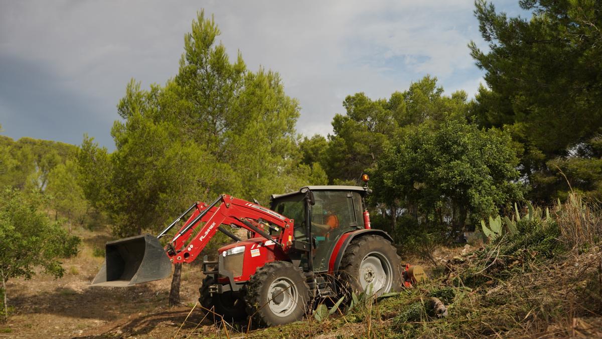 Trabajos en La Vallesa.