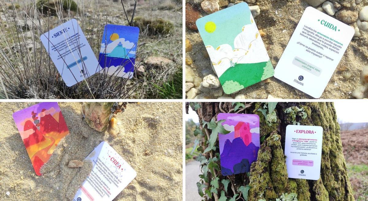 Las cuatro secciones del juego de cartas: Siente, Cuida, Crea y Explora