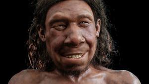 Els neandertals menjaven aus i les cuinaven al foc