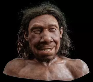 Los neandertales comían aves y las cocinaban al fuego
