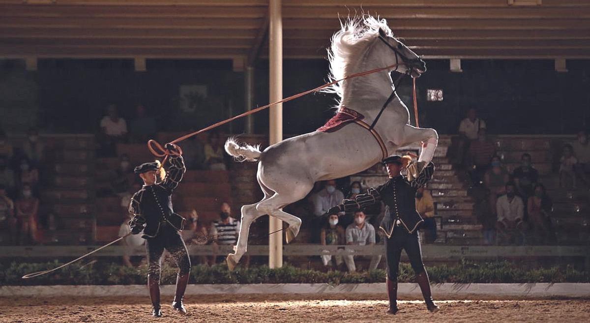 Un momento del espectáculo 'Pasión y Duende Caballo Andaluz'.