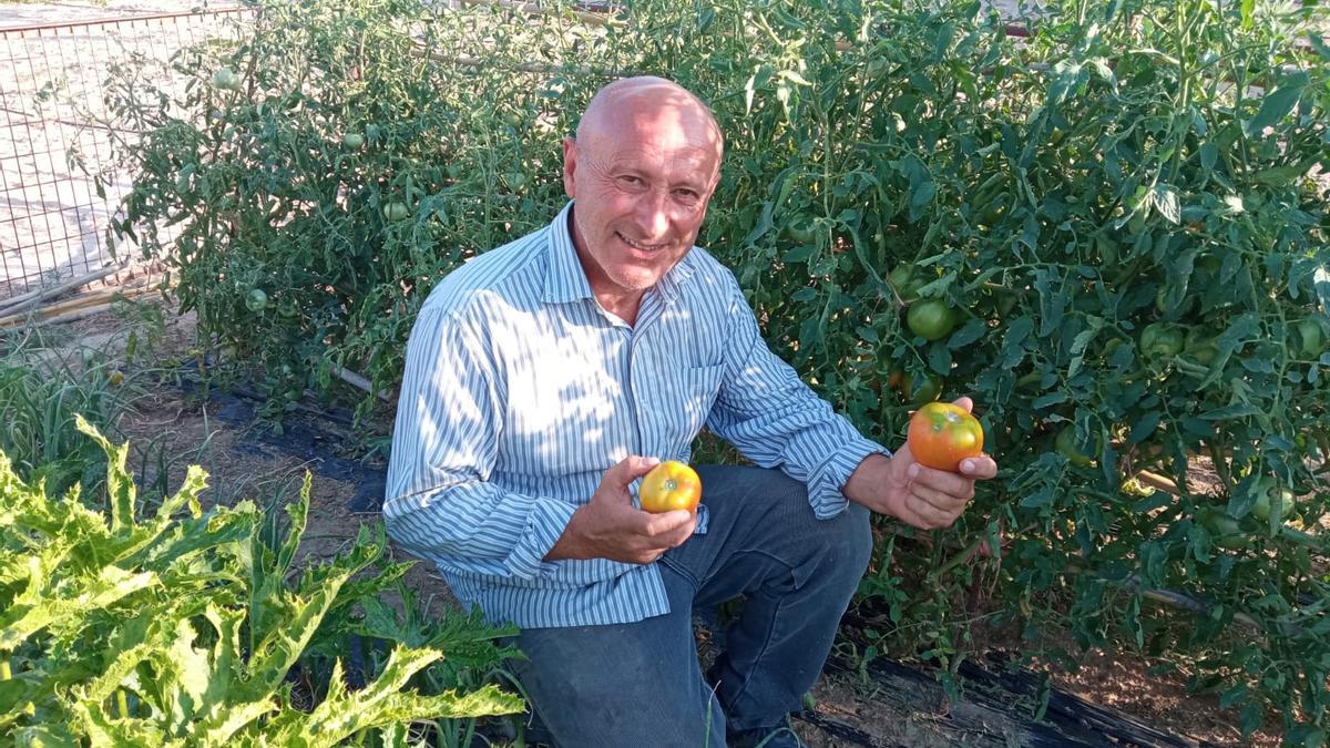 El edil de Izquierda Unida-Verdes, Pedro Sosa Martínez, con unos tomates recién cogidos de su huerto.