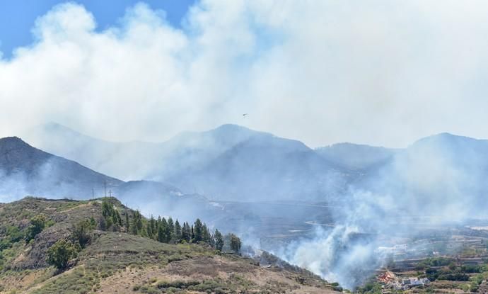 11-08-2019 Artenara. Segundo día del incendio en la cumbre  | 11/08/2019 | Fotógrafo: Andrés Cruz