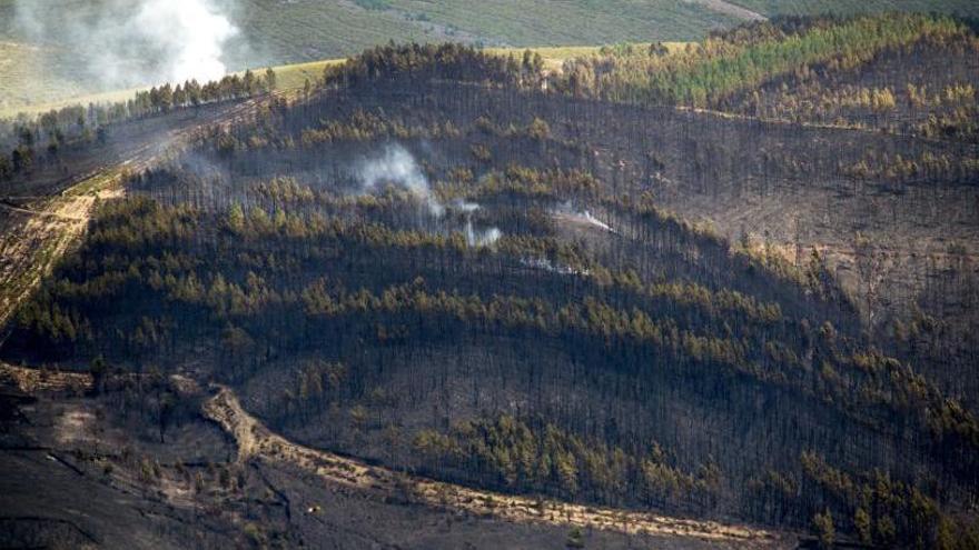 Activo un incendio en Val do Dubra que arrasa 20 hectáreas
