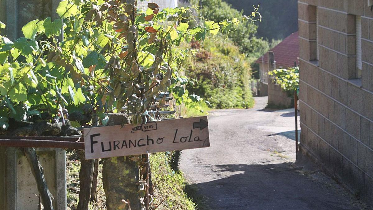 Tradicional anuncio, con rama de laurel, de un furancho en la comarca morracense.   | // G.NÚÑEZ