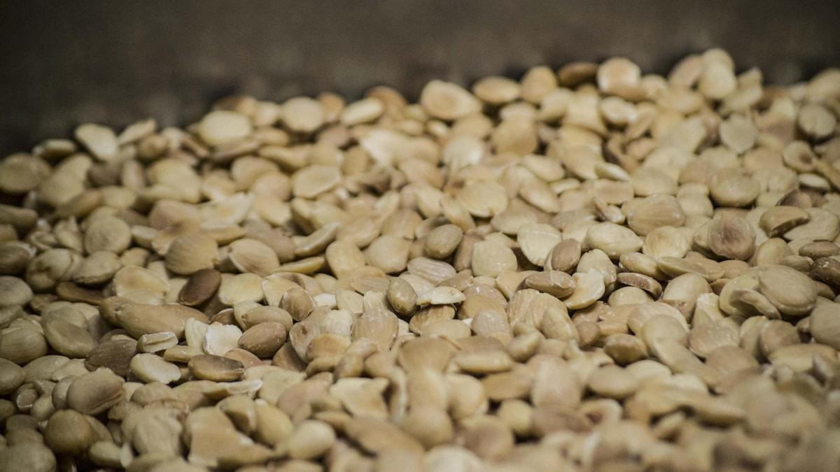 La almendra e el ingrediente estrella del turrón de Jijona.