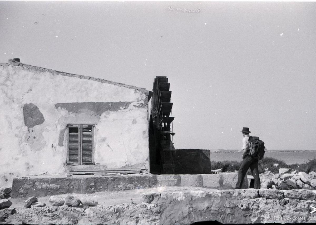 Formentera hace 65 años
