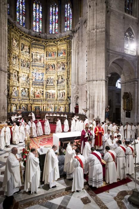 Ordenación de nuevos sacerdotes en la Catedral