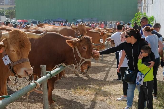 FIESTAS DE JINÁMAR