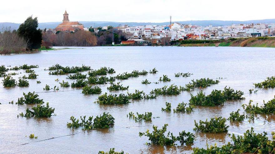 El temporal se convierte en pesadilla para el campo andaluz: los agricultores redoblan sus protestas