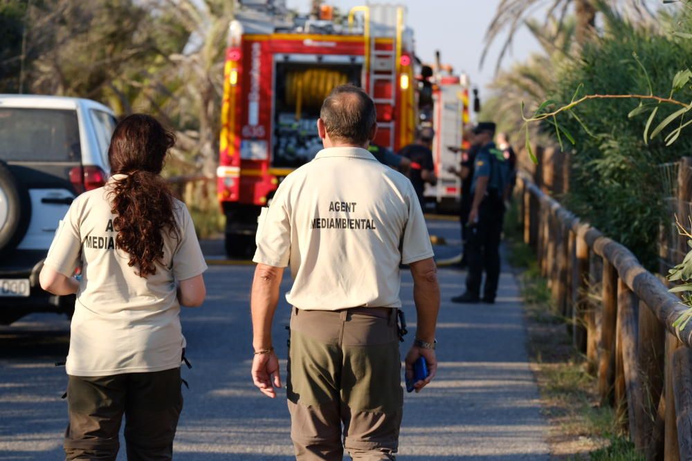 Extinción de un incendio en la pinada de Guardamar