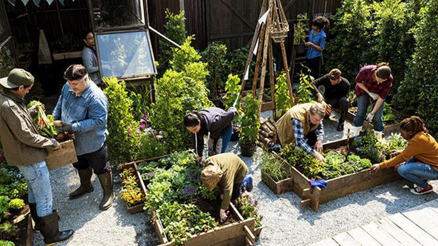 Los productos ecológicos están en auge y en la Comunitat Valenciana se nota