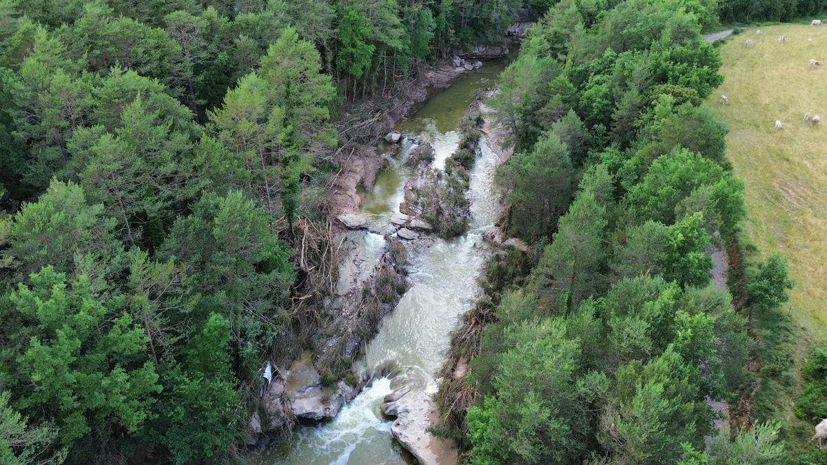 Vista aèria de l'afectació al bosc de ribera a La Quar