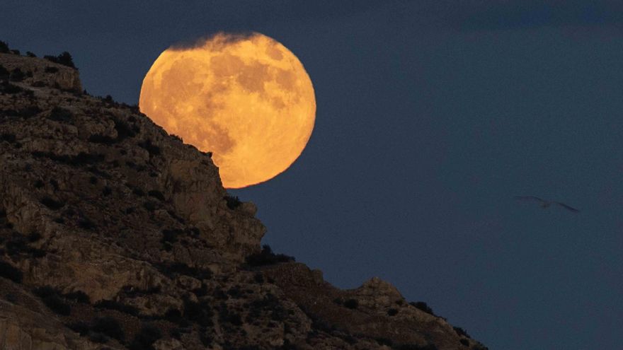 La Superluna del Cazador ilumina Alicante