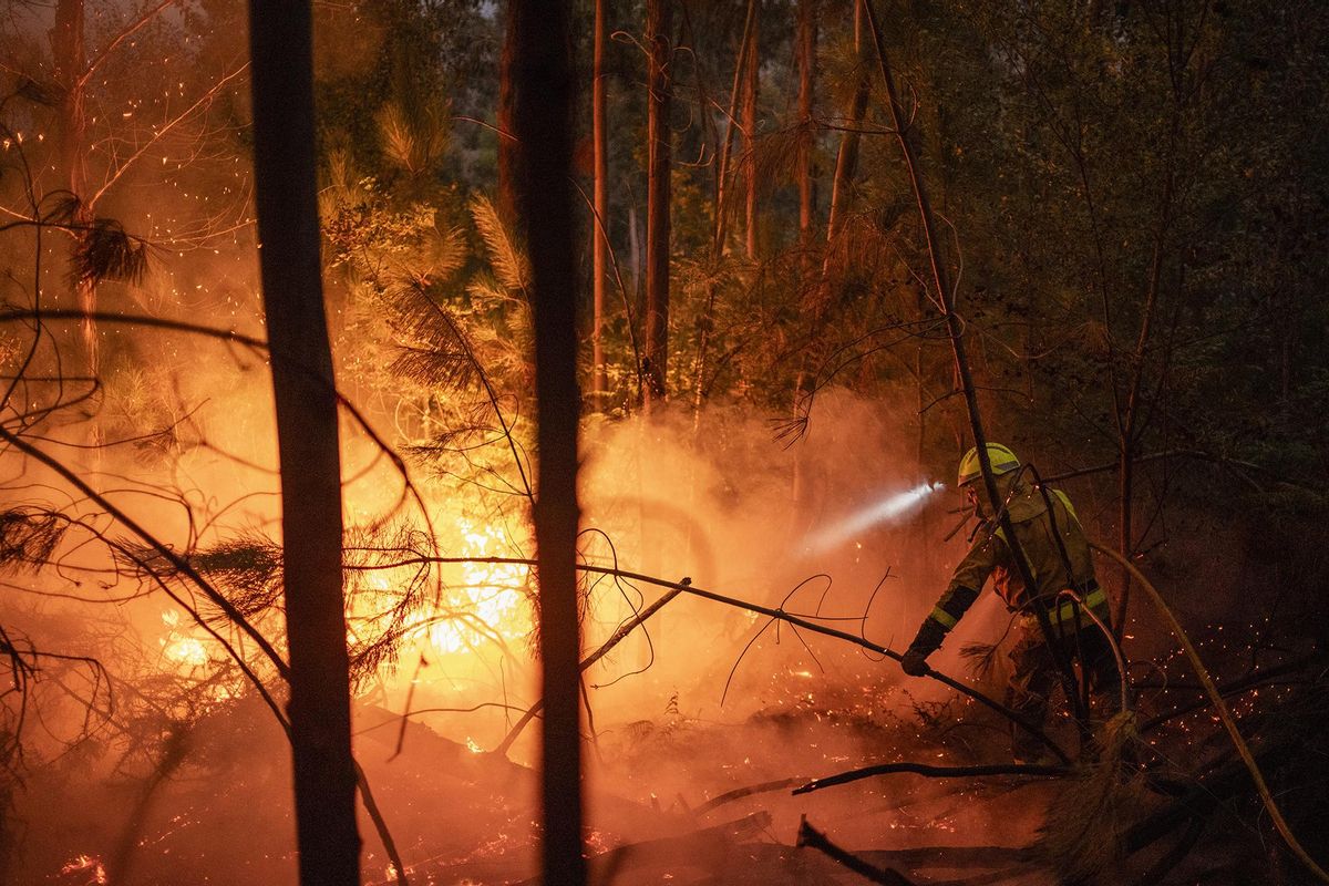 Incendio forestal en As Neves (Pontevedra)