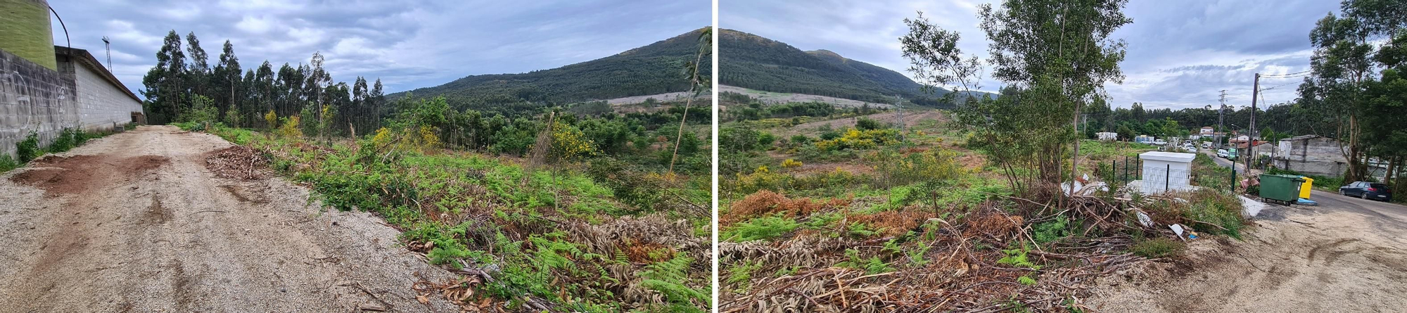 Terrenos elegidos para la plantación de vides, entre el campo de fútbol de Berdón, a la izquierda, y el poblado de Berdón, a la derecha.