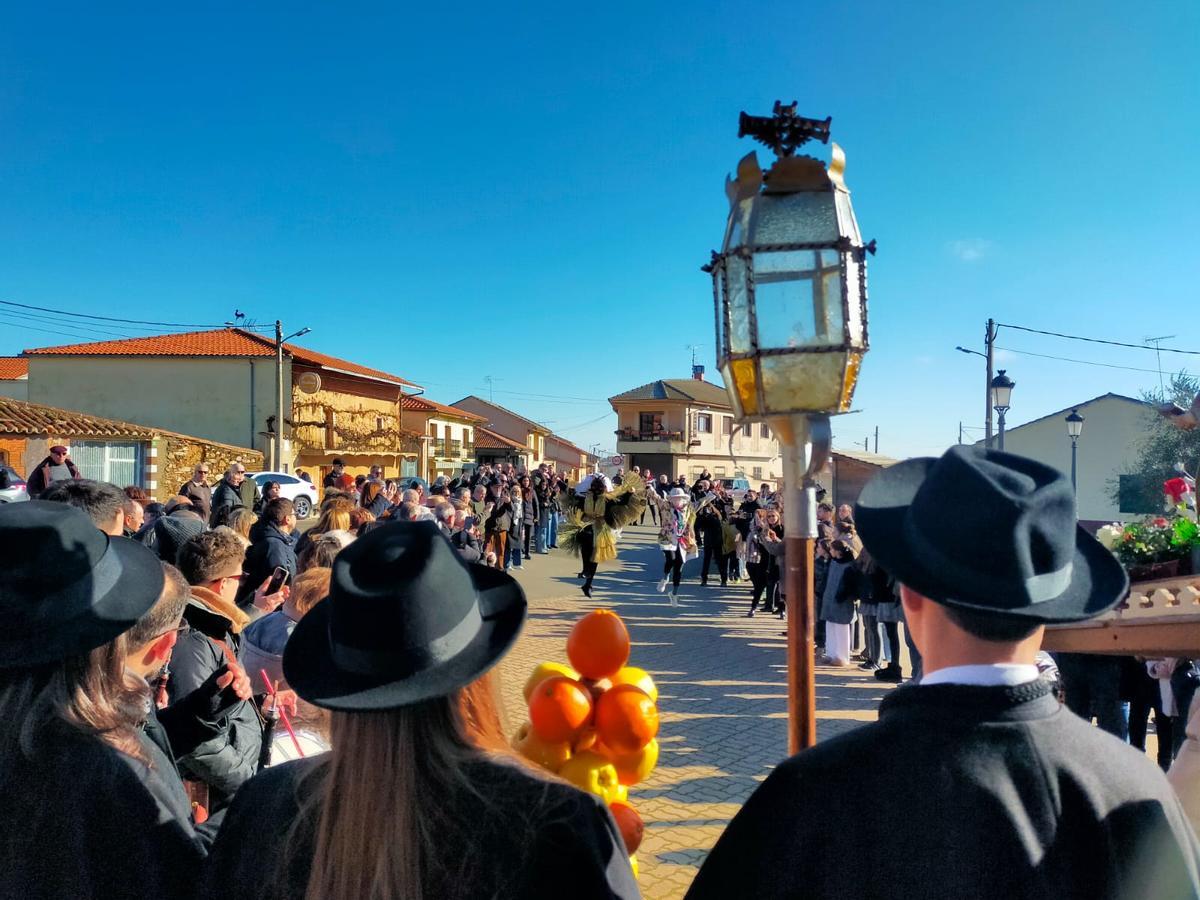 GALERÍA | Tafarrón de Pozuelo de Tábara 2025