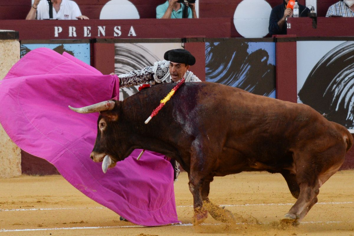 Los toros vuelven a La Malagueta