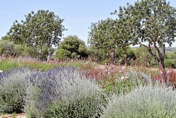 Gartenarchitektin Andi Lechte zeigt einer Reisegruppe ein Anwesen bei Santanyí. Der Entwurf stammt aus ihrer Feder.