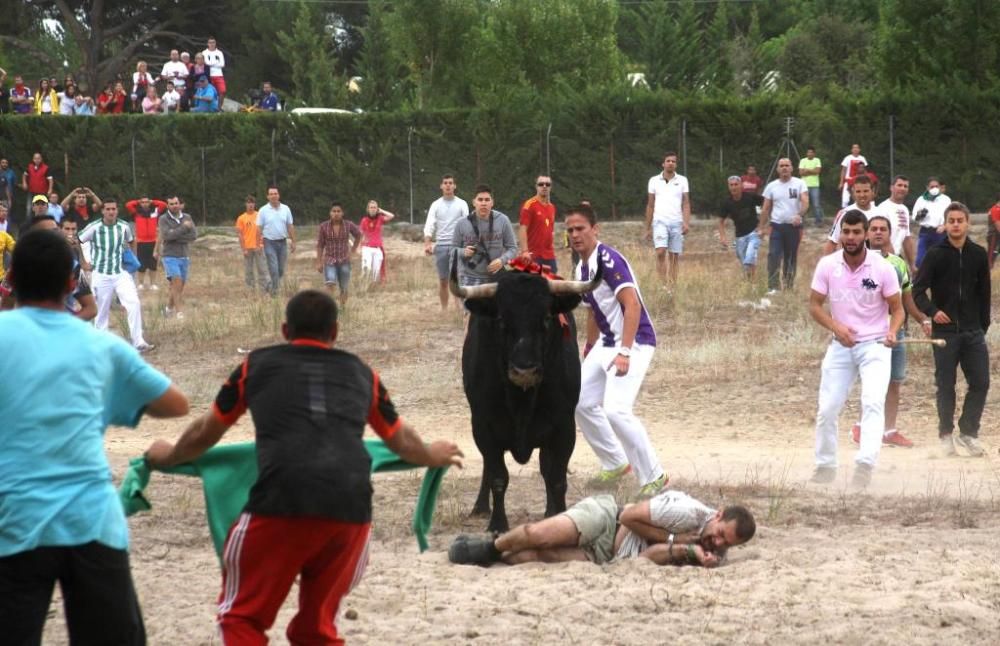 Imágenes del polémico Toro de la Vega