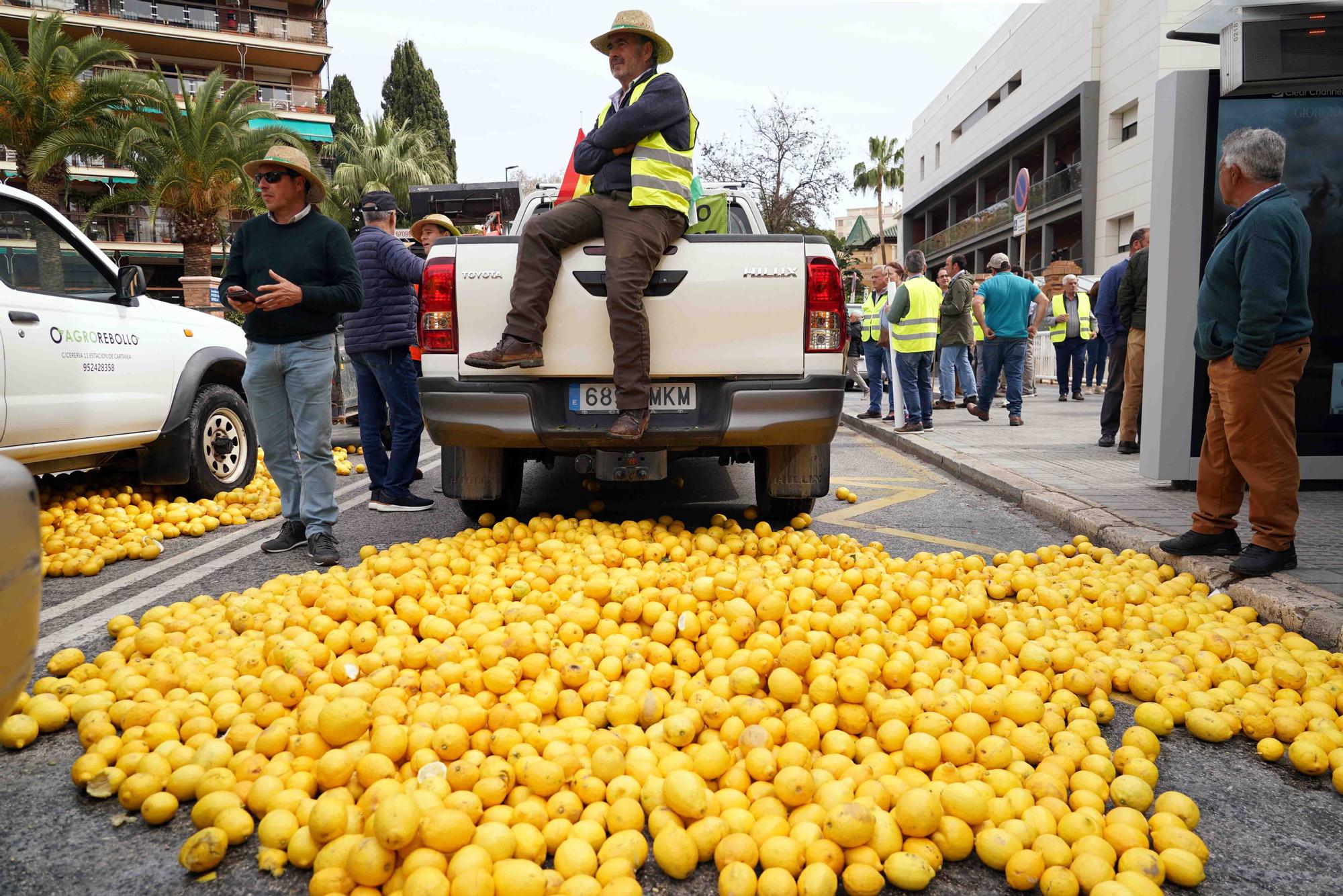 Concentración de agricultores en las puertas de la Subdelegación de Gobierno de Málaga, en el Paseo de Sancha.