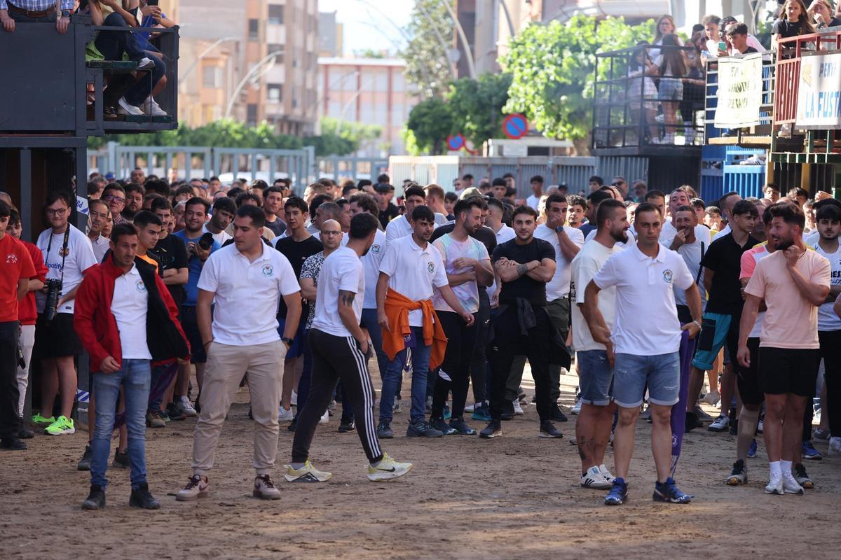 Fotogalería I Las imágenes de la tercera jornada de 'bou al carrer' de las fiestas de Sant Pasqual en Vila-real