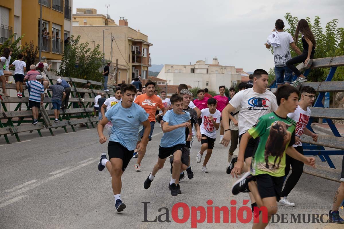 Chupinazo y encierro chico en Calasparra