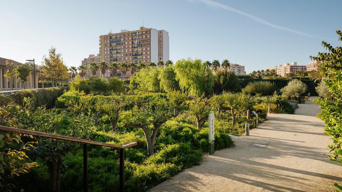 València aspira a reducir sus emisiones de carbono y ser climáticamente neutra antes de 2030.